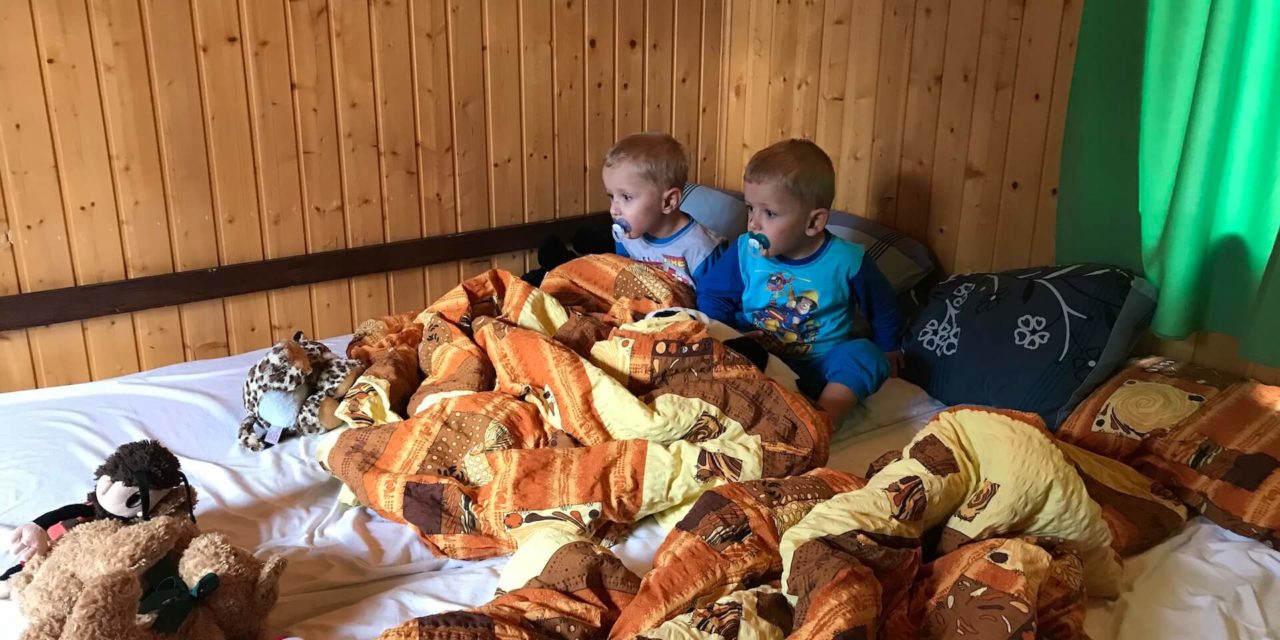 Rok 2018 ve fotografiích